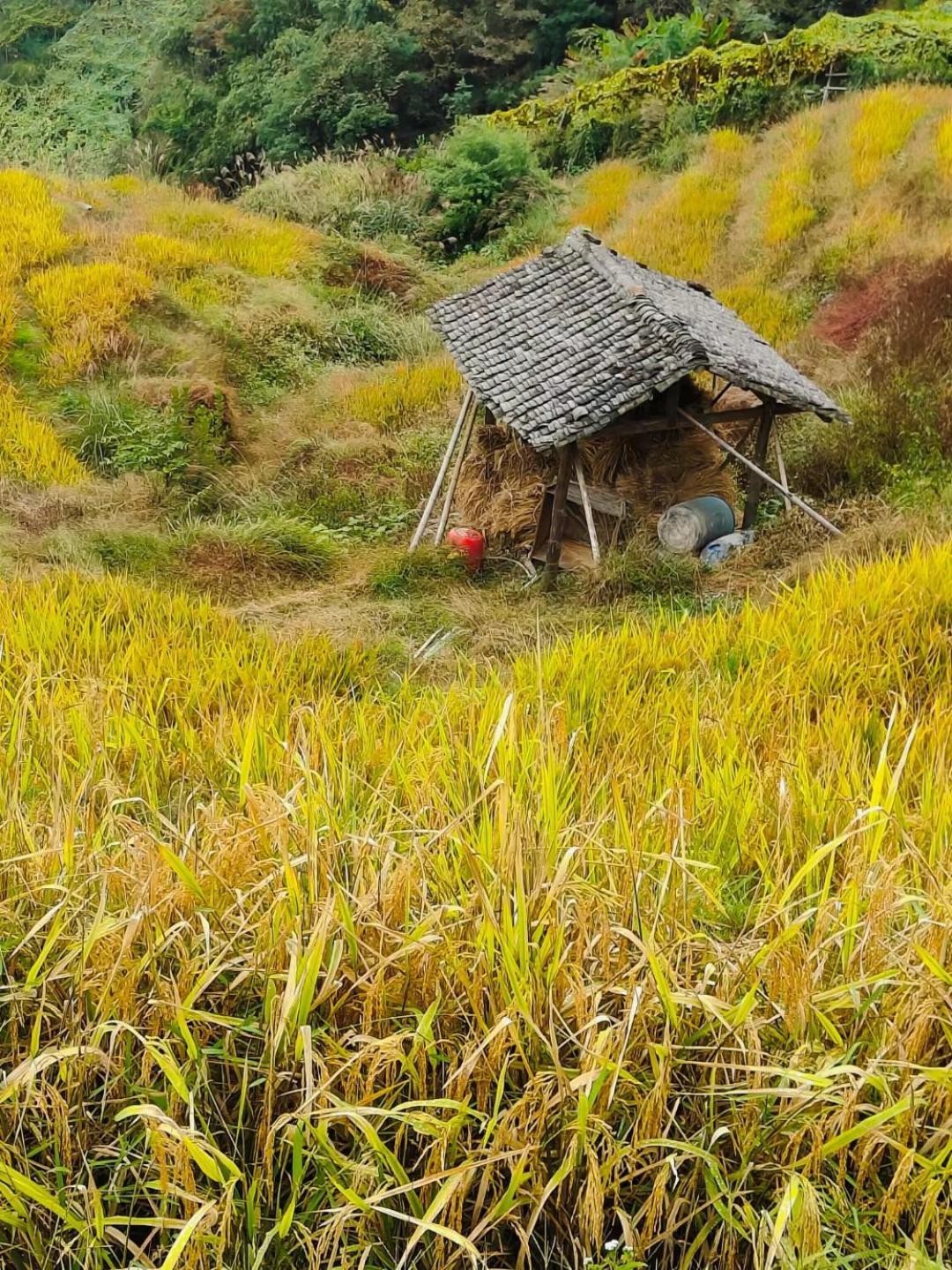 Helen'S Cozy Inn หลงเซิง ภายนอก รูปภาพ